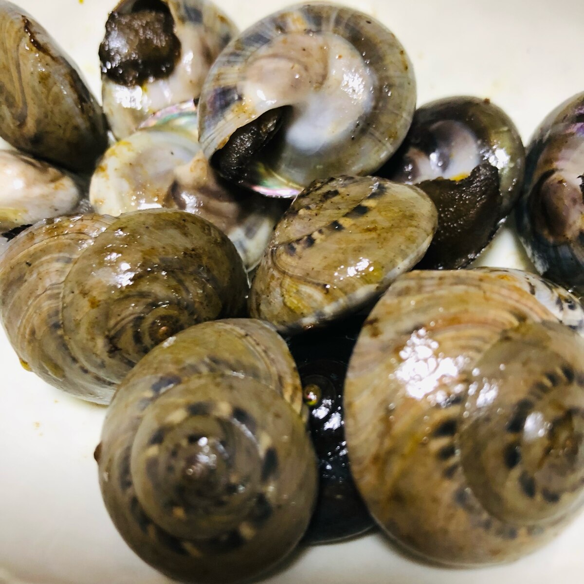 ながらみの酒蒸しバター風味 レシピ 作り方 By 雪だるまちゃん 楽天レシピ ながらみの酒蒸しバター風味 レシピ 作り方 By 雪だるまちゃん 楽天レシピ